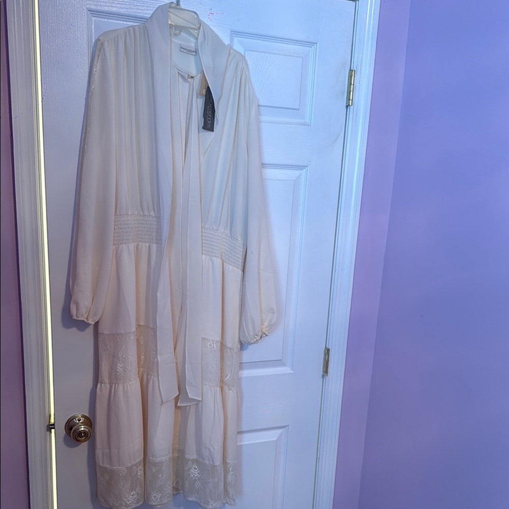 Elegant off White Lace Trim dress